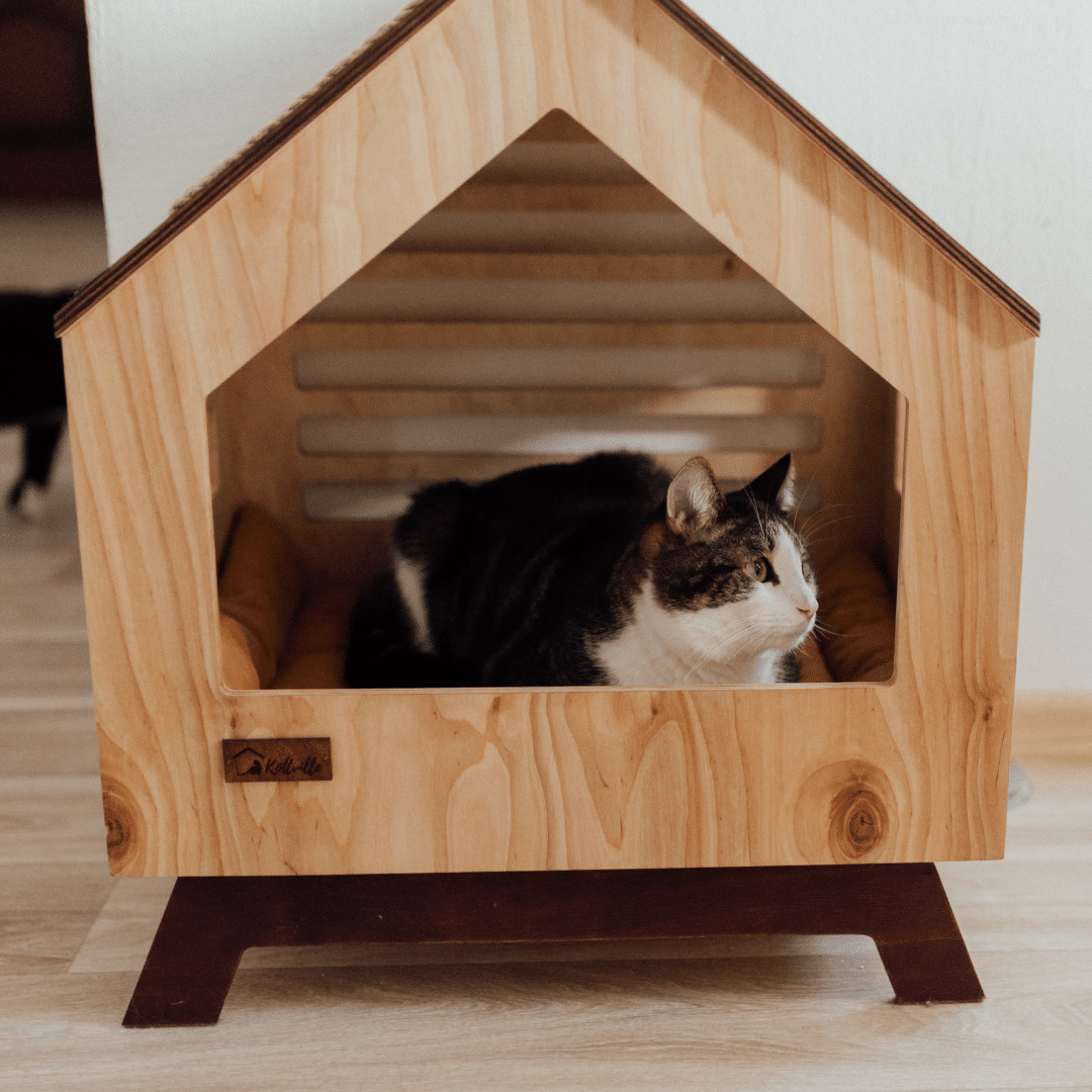 The Benefits of Luxury Pet Boarding vs. Traditional Kennels