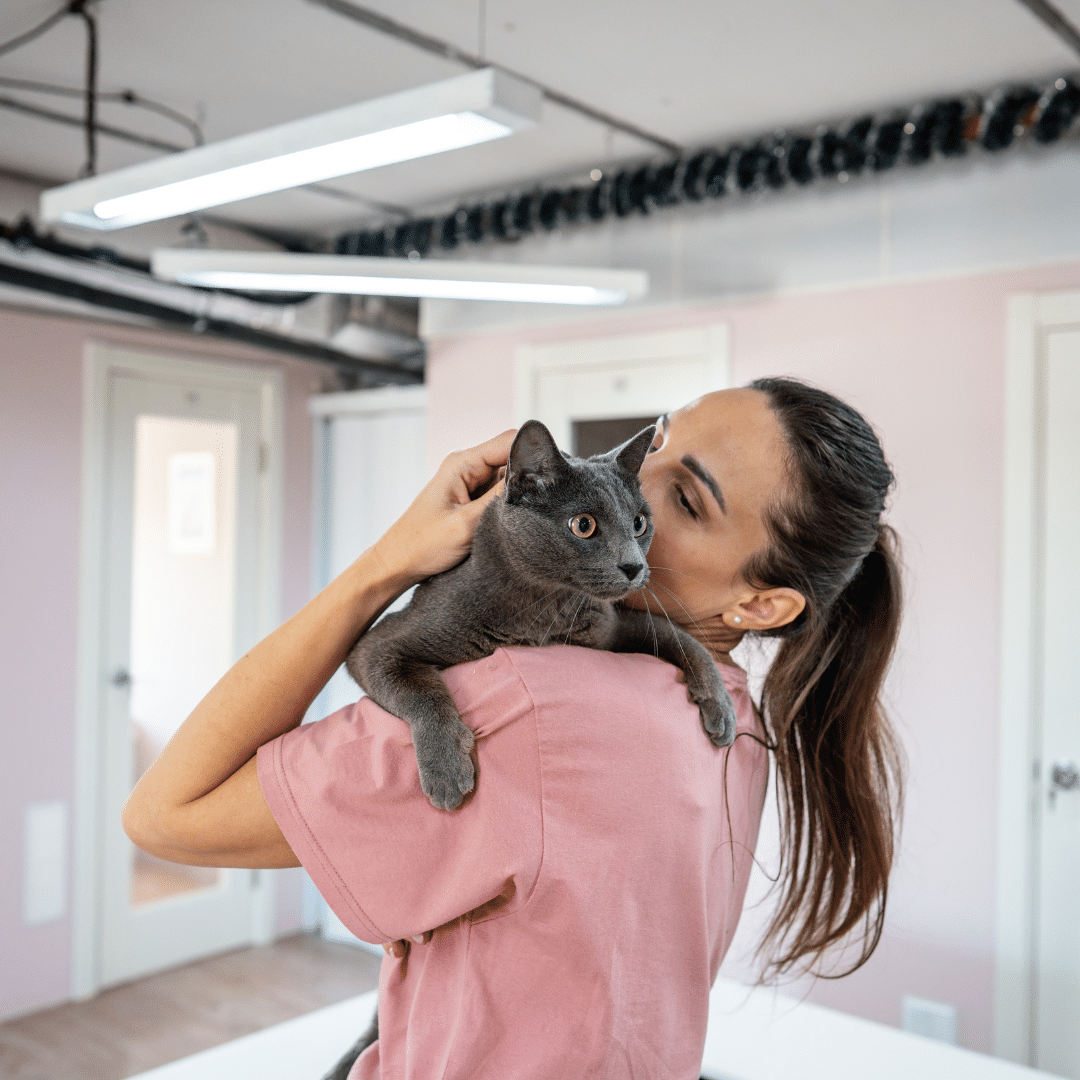 Fourth of July Travel Plans? Why Boarding is the Best Option for Your Pet