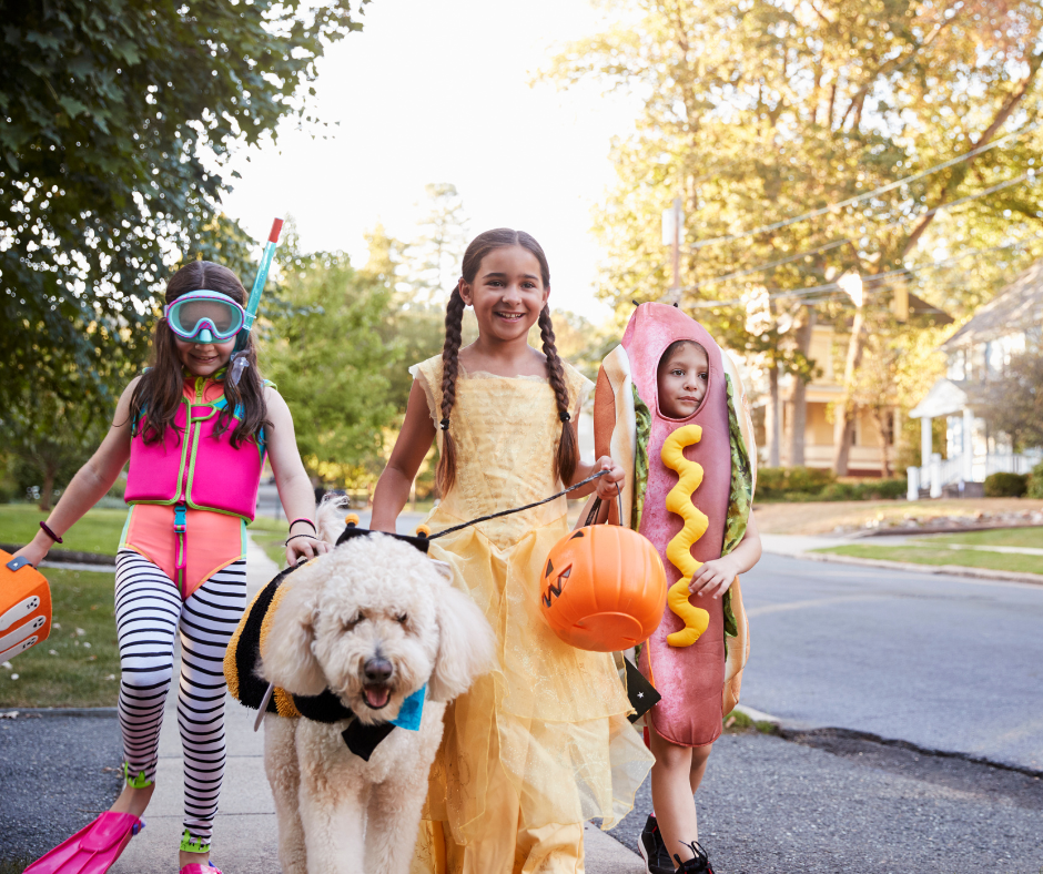Tricks, Treats, and Tail Wags: How Doggy Daycare Keeps Dogs Happy During a Busy October